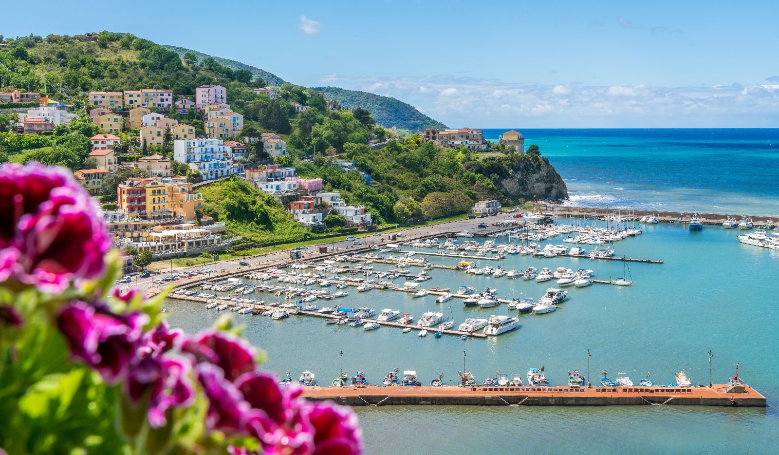 Agropoli porto